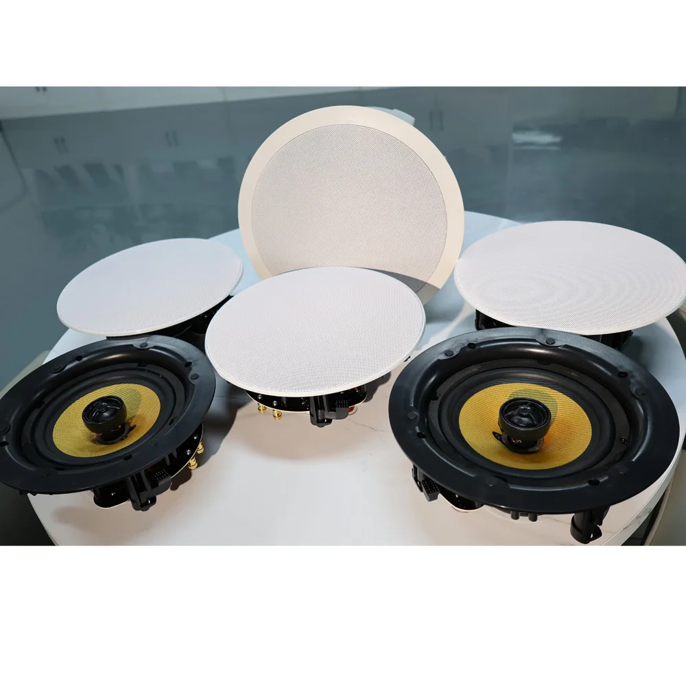 Home Cinema Plafond - TLF WiFi Bluetooth haut-parleur haut-parleur de