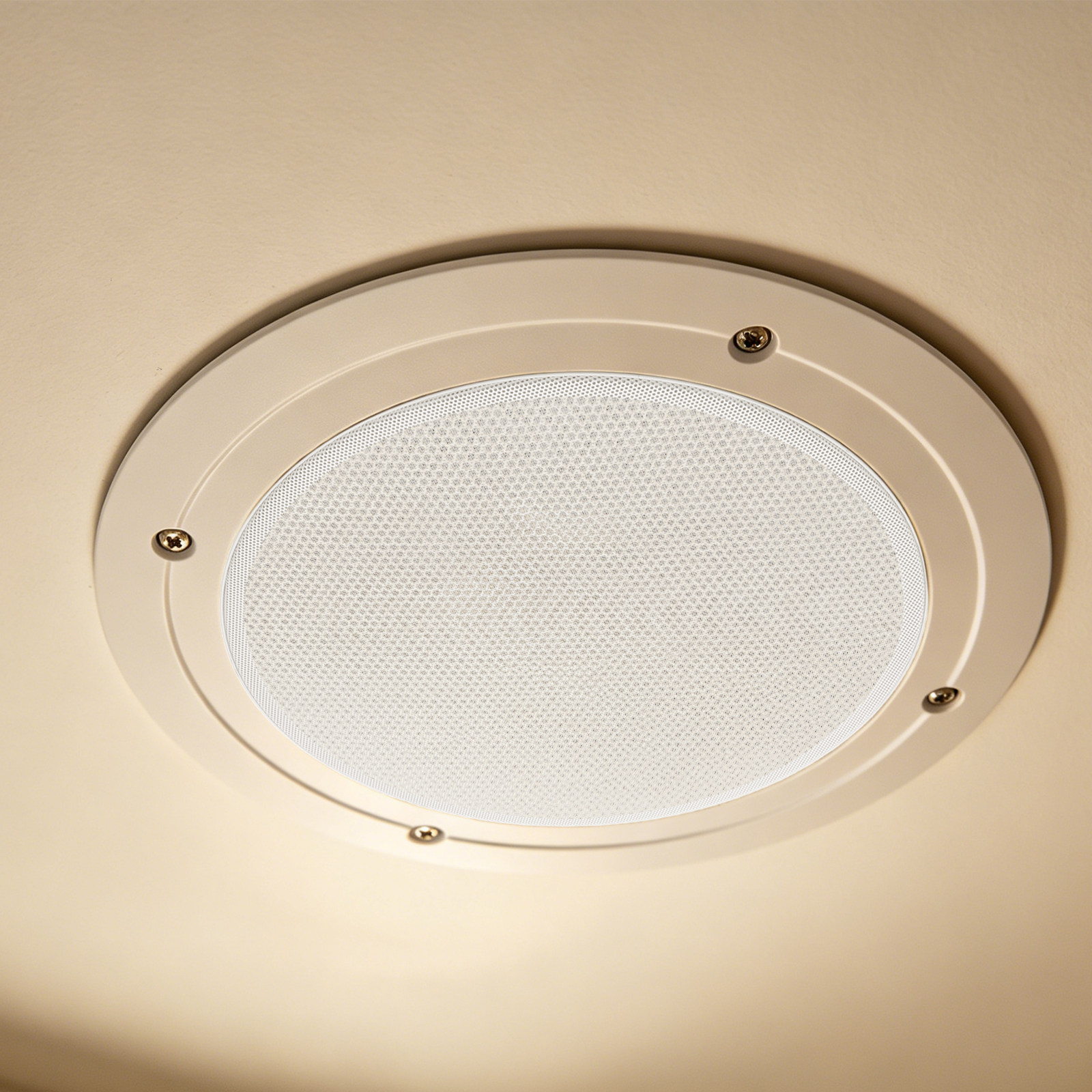 Grille de protection en maille - Home Cinema Plafond avis et prix